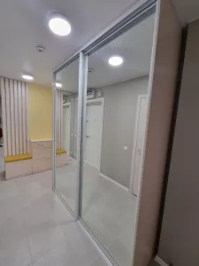 Шкаф-купе «Отражение 011»